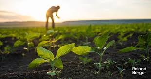 Agricultural Extension & Management